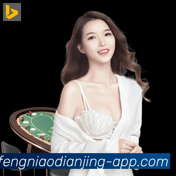 App功能展示图